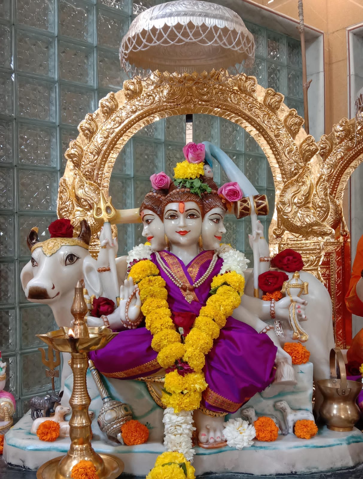 WhatsApp Image 2024-02-24 at 12.27.35 PM