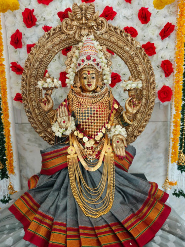 WhatsApp Image 2024-11-19 at 7.25.28 PM